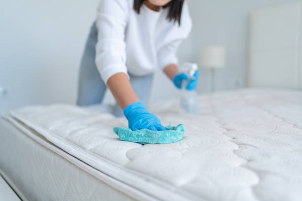 Expert Cleaning & Laundry Service in UAE We offer expert cleaning services for living rooms, bedrooms, kitchens, bathrooms, and entire office spaces. From deep cleaning to move-in/move-out cleaning, we do it all with care and speed.Expert Cleaning & Laundry Service in UAE We offer expert cleaning services for living rooms, bedrooms, kitchens, bathrooms, and entire office spaces. From deep cleaning to move-in/move-out cleaning, we do it all with care and speed. Who We Are Welcome to Alrafalaundry and cleaning, your trusted partner for premium Laundry and Home Cleaning Services. At Alrafalaundryandcleaning, we take pride in delivering unparalleled cleanliness and convenience to your doorstep. Our Laundry Services cater to your garment care needs with precision and care, employing state-of-the-art equipment and eco-friendly detergents to ensure the longevity and freshness of your fabrics and in n our Home Cleaning Services, we go beyond the ordinary, providing a comprehensive range of solutions for a spotless and organized living space. Our team of skilled professionals is committed to provide attention to detail, using advanced techniques. We offer a comprehensive range of cleaning services, from standard dusting and vacuuming to specialized services like carpet and upholstery cleaning, guaranteeing your home maintains an exceptional level of cleanliness.